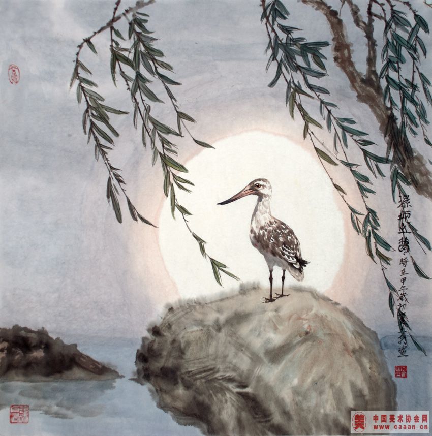 湿地之梦